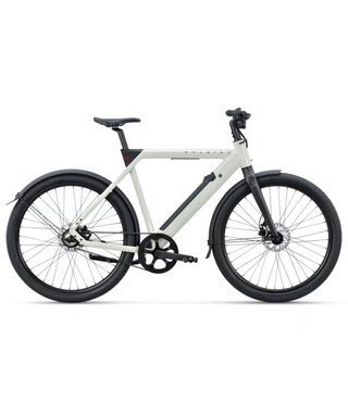 Raleigh One - Smart Bike - White