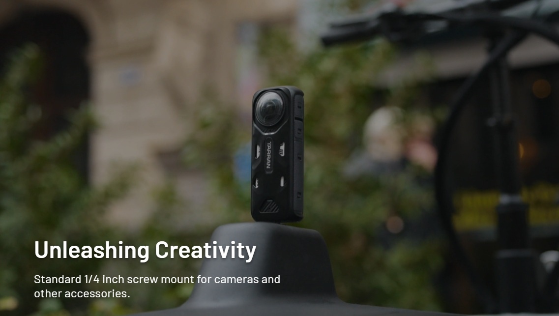 Unleashing Creativity