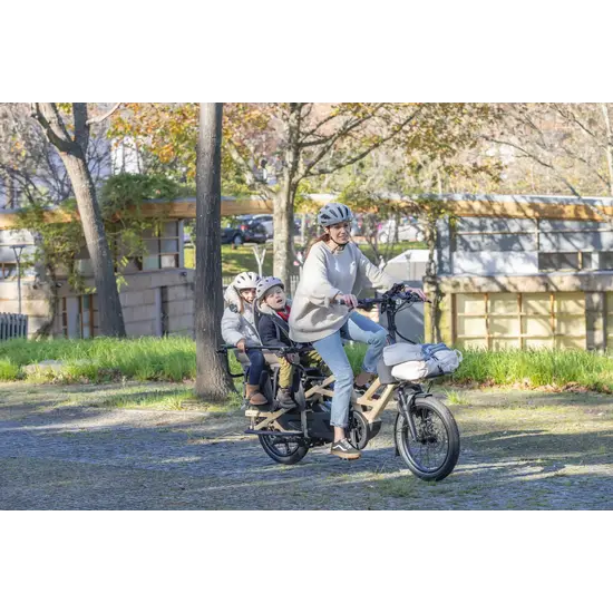 TERN Tern E-Cargo Bike - GSD P10 - Gen 3