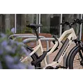 HIPLOK HIPLOK DXXL - DIAMOND RATED LOCK