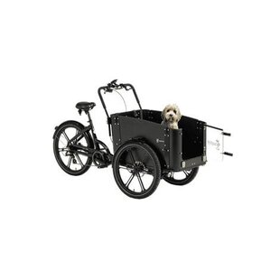 Cargo Bike Sweden - E-Cargo Bike Delight Dog