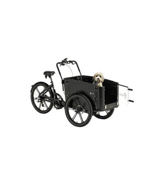 Cargo Bike Sweden - E-Cargo Bike Delight Dog