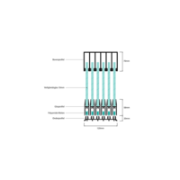 Glazen schuifwand 6 railsysteem zwart met 6 glaspanelen van 98cm tot 573cm breed