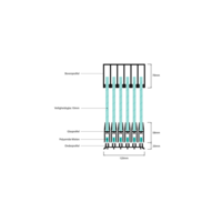 6 rail zwart 98cm tot 573cm  - Copy (testproduct)
