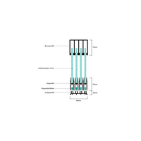 Glazen schuifwand zwart - Getint glas - 4 railsysteem tot 383 cm breed