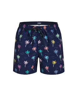 Happy Shorts Swim Shorts Men Palm Print