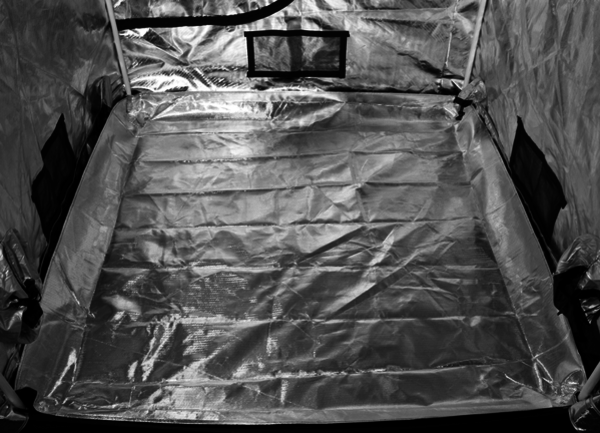 Gorilla Gorilla Growbox 152x152x210 cm Gorilla Gorilla Growbox 152x152x210 cm