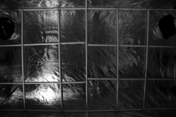 Gorilla Gorilla Growbox GGT55 152x274x210 cm Gorilla Gorilla Growbox GGT55 152x274x210 cm