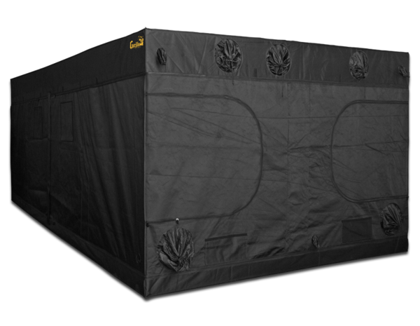 Gorilla Gorilla Original 305x610x210 cm Gorilla Gorilla Original 305x610x210 cm