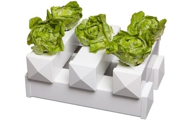 Flow and Grow Flow & Grow 50