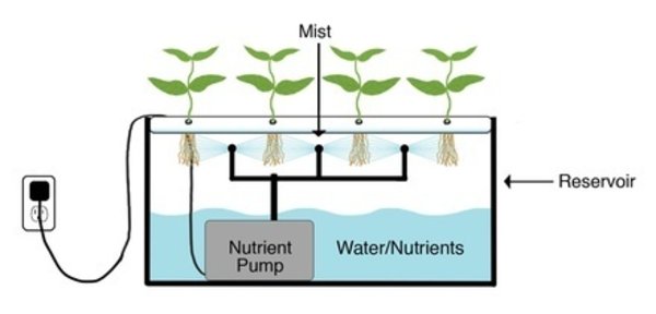 Flow and Grow Flow & Grow 60 Flow and Grow Flow & Grow 60