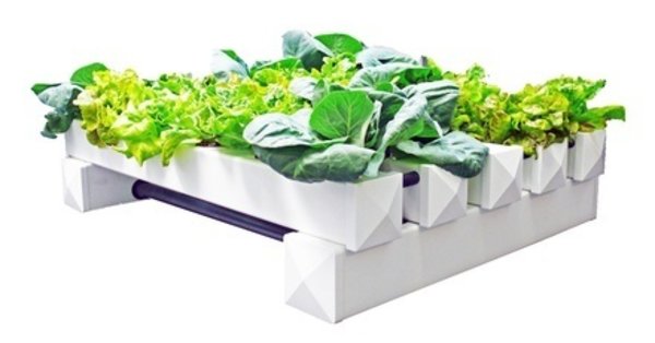 Flow and Grow Flow & Grow 90 Flow and Grow Flow & Grow 90