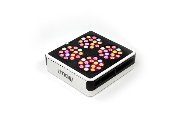 Apollo Apollo 4 LED Growlamp Apollo Apollo 4 LED Growlamp