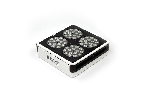 Apollo Apollo 4 LED Growlamp Apollo Apollo 4 LED Growlamp