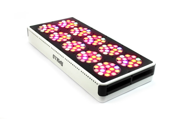 Apollo Apollo 10 LED Growlamp