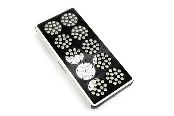 Apollo Apollo 10 LED Growlamp