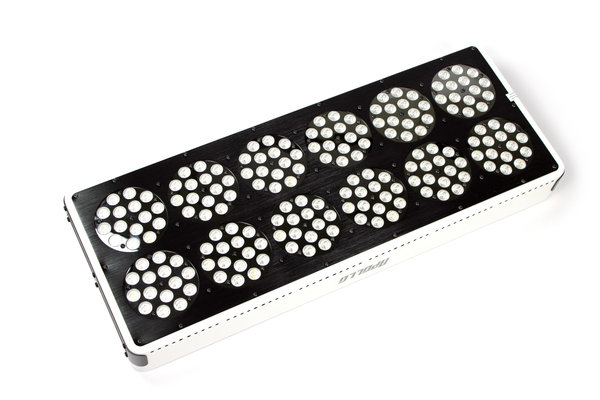 Apollo Apollo 12 LED Growlamp Apollo Apollo 12 LED Growlamp