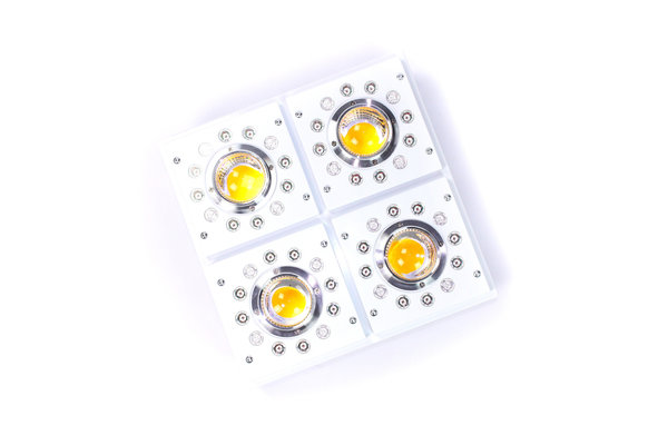 Apollo Apollo-X 4 LED Growlamp Apollo Apollo-X 4 LED Growlamp