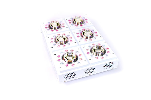 Apollo Apollo-X 6 LED Growlamp Apollo Apollo-X 6 LED Growlamp