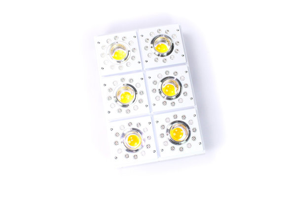 Apollo Apollo-X 6 LED Growlamp Apollo Apollo-X 6 LED Growlamp