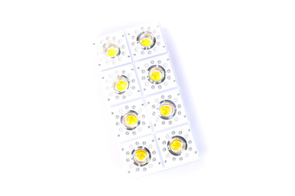 Apollo Apollo-X 8 LED Growlamp Apollo Apollo-X 8 LED Growlamp