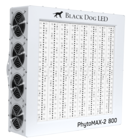 Black Dog Phytomax-2 800 Black Dog Phytomax-2 800