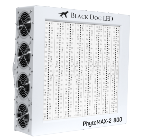 Black Dog LED black-dog-phytomax-2-800