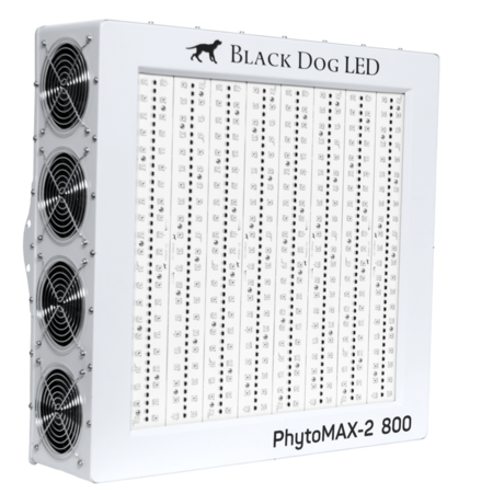 Black Dog LED Black Dog Phytomax-2 800