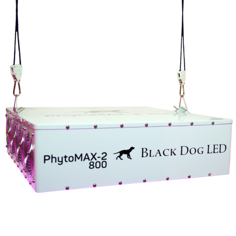 Kaufen Sie noch heute einen Black Dog LED Phytomax 2 800