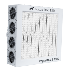 Black Dog Phytomax-2 1000 Black Dog Phytomax-2 1000