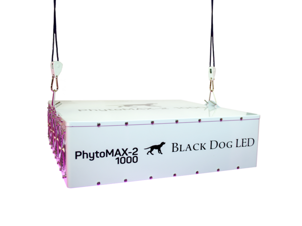 Black Dog Phytomax-2 1000 LED Growlamp