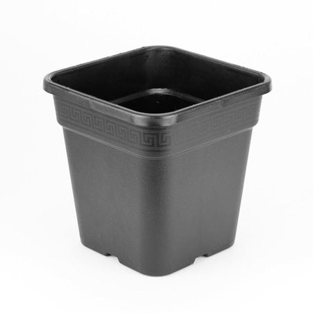 Wilma Anzuchtopf - 11 Liter 24x24x28,3cm Kunstoff viereckig