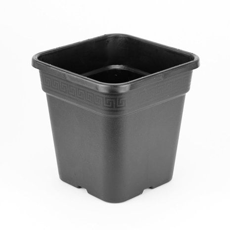 Wilma Anzuchtopf - 11 Liter 24x24x28,3cm Kunstoff viereckig