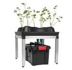  3 in 1 Grow-Systeme