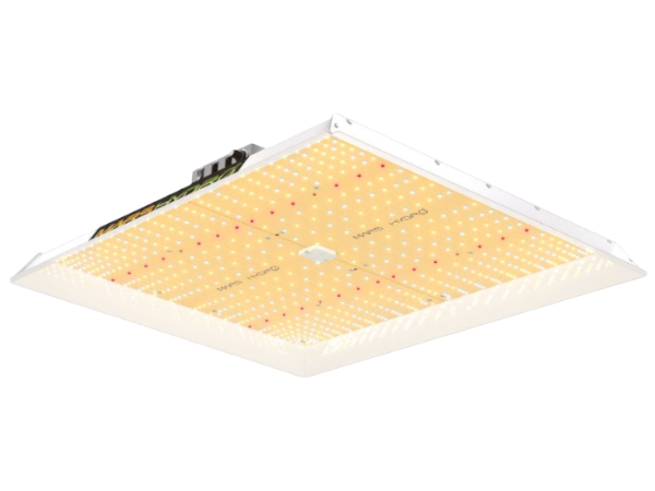 Mars Hydro Mars Hydro TSW-2000 LED Growlamp Mars Hydro Mars Hydro TSW-2000 LED Growlamp