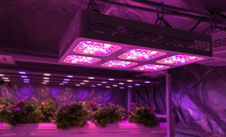 Die besten LED grow lampen