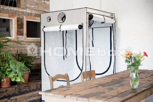 Homebox Homebox Ambient Q150 Plus (150x150x220cm) Homebox Homebox Ambient Q150 Plus (150x150x220cm)