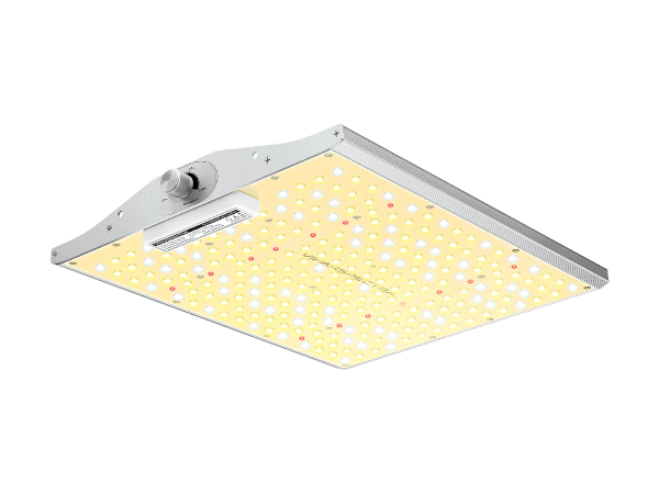 Viparspectra Viparspectra XS1000