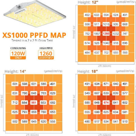 Viparspectra Viparspectra XS1000