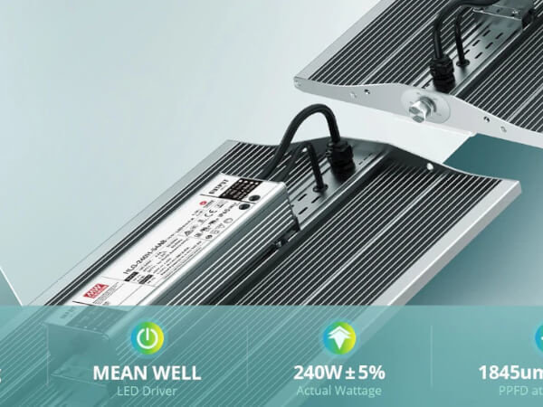 Viparspectra Viparspectra XS2000