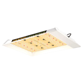 Mars Hydro TS600 Mars Hydro TS600