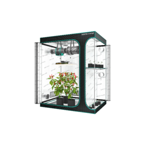 Growbox Komplettset