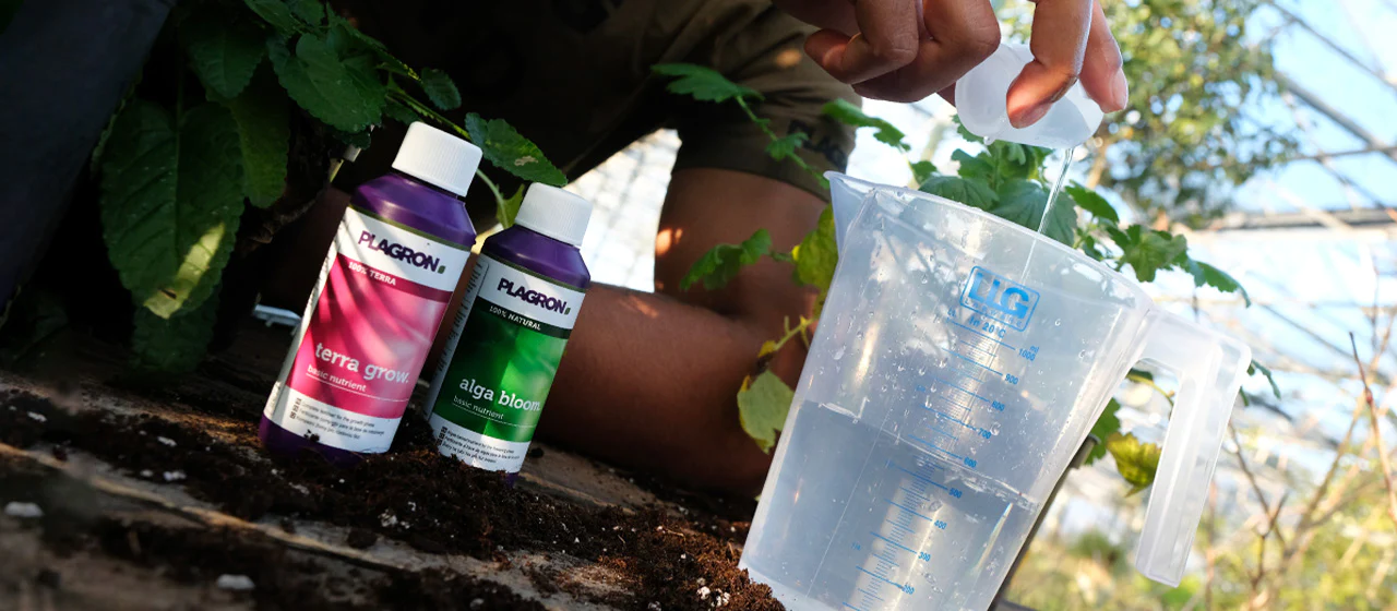 Elevate Your Indoor Grow mit Düngermittel