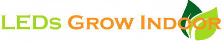 Growbox mit led - Die ausgezeichnetesten Growbox mit led ausführlich analysiert!