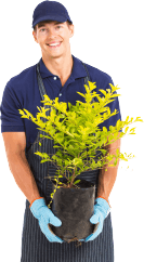 Ledsgrowindoor.de Bedienung