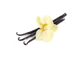 Suikerarme Vanille Shake/ Dessert Proslank 1 sachet