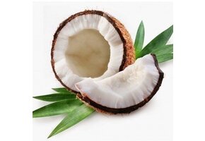 Suikerarme Cocos Shake/ Dessert Proslank 1 sachet