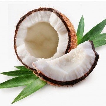 Suikerarme Cocos Shake/ Dessert Proslank 1 sache