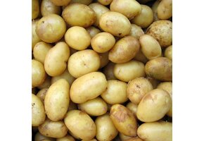 Suikerarme Aardappel puree Proslank 7 sachets