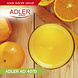Adler Adler Blender- AD 4070 Adler Adler Blender- AD 4070